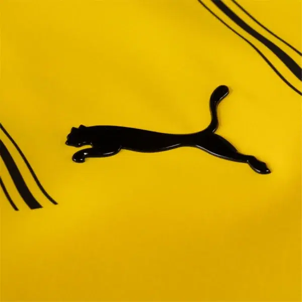 Borussia Dortmund Titular 2024/25 - Imagen 2